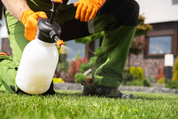 Best Emergency Pest Control  in Mena, AR