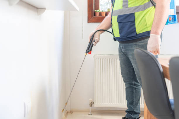 Best Mosquito Control Services  in Mena, AR
