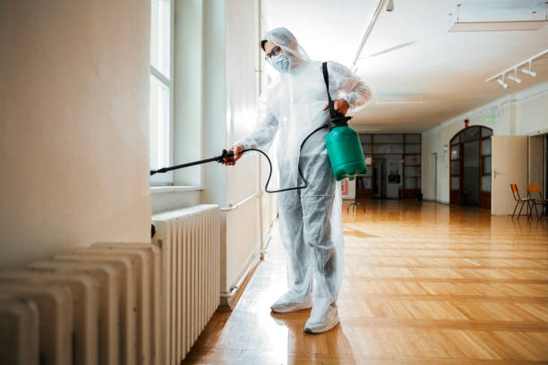 Best Local Pest Control Services  in Mena, AR