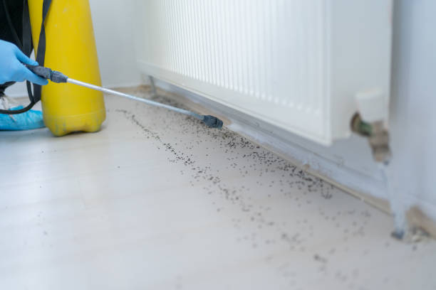 Best Exterminator Services  in Mena, AR