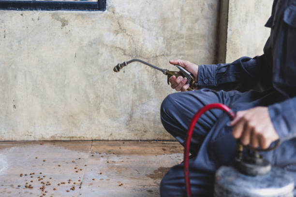 Best Commercial Pest Control Services  in Mena, AR